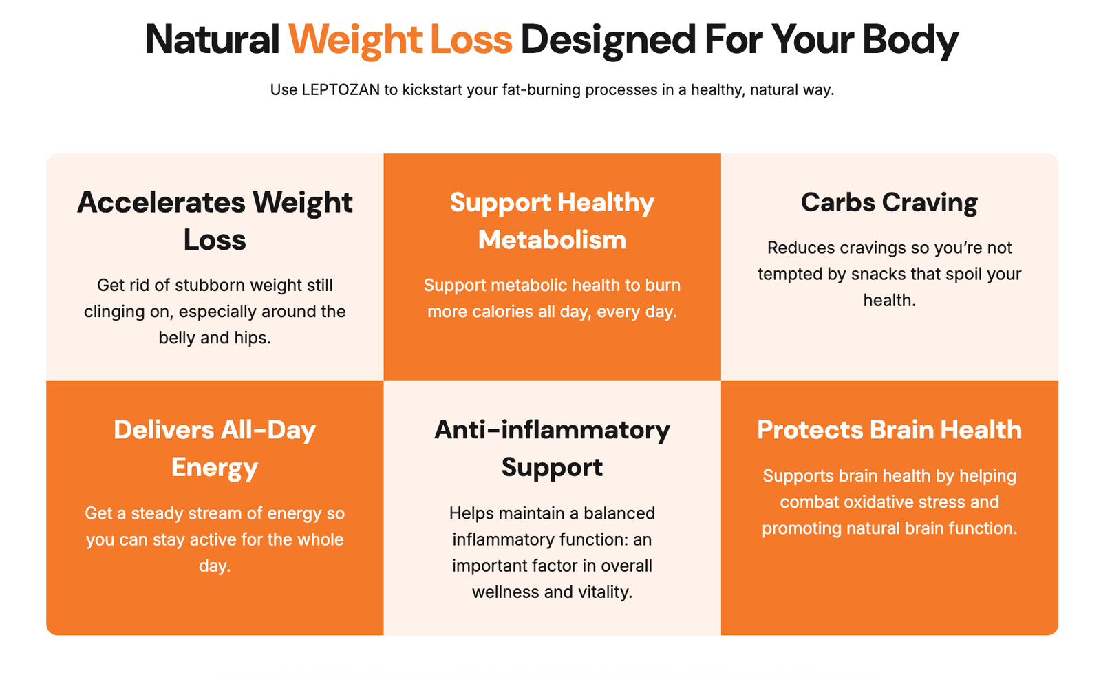 Leptozan benefits visual — fat burning, appetite control, energy